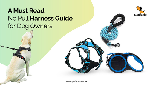 A Must Read No Pull Harness Guide for Dog Owners.j