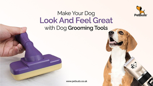 Make Your Dog Look And Feel Great with Dog Groomin